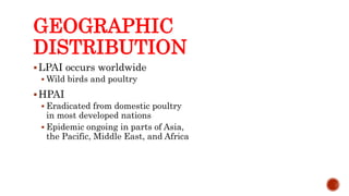 GEOGRAPHIC
DISTRIBUTION
LPAI occurs worldwide
 Wild birds and poultry
HPAI
 Eradicated from domestic poultry
in most developed nations
 Epidemic ongoing in parts of Asia,
the Pacific, Middle East, and Africa
Center for Food Security and Public Health, Iowa State University, 2013
 