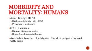 MORBIDITY AND
MORTALITY: HUMANS
Asian lineage H5N1
 High case fatality rate (60%)
 Prevalence unknown
H7, H9 viruses
 Human disease reported
 Resembles human influenza
Antibodies to other H subtypes found in people who work
with birds
Center for Food Security and Public Health, Iowa State University, 2013
 