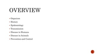  Organism
 History
 Epidemiology
 Transmission
 Disease in Humans
 Disease in Animals
 Prevention and Control
 