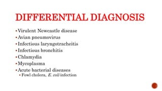DIFFERENTIAL DIAGNOSIS
Virulent Newcastle disease
Avian pneumovirus
Infectious laryngotracheitis
Infectious bronchitis
Chlamydia
Mycoplasma
Acute bacterial diseases
 Fowl cholera, E. coli infection
Center for Food Security and Public Health, Iowa State University, 2013
 