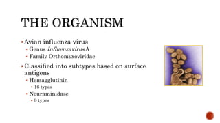 Avian influenza virus
 Genus Influenzavirus A
 Family Orthomyxoviridae
Classified into subtypes based on surface
antigens
 Hemagglutinin
 16 types
 Neuraminidase
 9 types
 