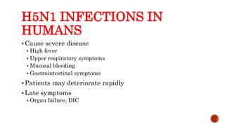 H5N1 INFECTIONS IN
HUMANS
Cause severe disease
 High fever
 Upper respiratory symptoms
 Mucosal bleeding
 Gastrointestinal symptoms
Patients may deteriorate rapidly
Late symptoms
 Organ failure, DIC
Center for Food Security and Public Health, Iowa State University, 2013
 
