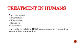 TREATMENT IN HUMANS
Antiviral drugs
 Amantadine
 Rimantadine
 Zanamivir
 Oseltamivir
Currently circulating H5N1 viruses may be resistant to
amantadine, rimantadine
Center for Food Security and Public Health, Iowa State University, 2013
 