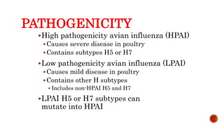 PATHOGENICITY
High pathogenicity avian influenza (HPAI)
Causes severe disease in poultry
Contains subtypes H5 or H7
Low pathogenicity avian influenza (LPAI)
Causes mild disease in poultry
Contains other H subtypes
 Includes non-HPAI H5 and H7
LPAI H5 or H7 subtypes can
mutate into HPAI
 