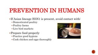 PREVENTION IN HUMANS
If Asian lineage H5N1 is present, avoid contact with:
 Domesticated poultry
 Poultry farms
 Live bird markets
Prepare food properly
 Practice good hygiene
 Cook chicken and eggs thoroughly
Center for Food Security and Public Health, Iowa State University, 2013
 