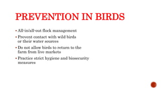 PREVENTION IN BIRDS
 All-in/all-out flock management
 Prevent contact with wild birds
or their water sources
 Do not allow birds to return to the
farm from live markets
 Practice strict hygiene and biosecurity
measures
Center for Food Security and Public Health, Iowa State University, 2013
 
