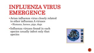 INFLUENZA VIRUS
EMERGENCE
Avian influenza virus closely related
to other influenza A viruses
 Humans, horses, pigs, dogs
Influenza viruses found in each
species usually infect only that
species
Center for Food Security and Public Health, Iowa State University, 2013
 