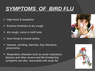 SYMPTOMS  OF  BIRD FLU High fever & headache Extreme tiredness & dry cough,  dry cough, runny or stuff nose Sore throat & muscle aches, Nausea ,vomiting, diarrhea, Eye infections,  pneumonia, Respiratory diseases such as acute respiratory  distress and other severe and life-threatening  symptoms are also  associated with avian flu.  