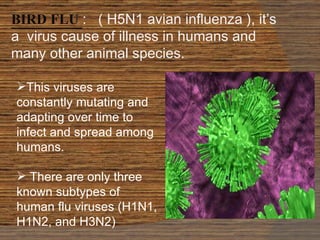 BIRD FLU  :  ( H5N1 avian influenza ), it’s a  virus cause of illness in humans and many other animal species.  This viruses are  constantly mutating and adapting over time to infect and spread among humans. There are only three known subtypes of human flu viruses (H1N1, H1N2, and H3N2)  