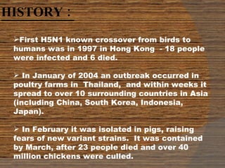 HISTORY :  First H5N1 known crossover from birds to humans was in 1997 in Hong Kong  - 18 people were infected and 6 died. In January of 2004 an outbreak occurred in poultry farms in  Thailand,  and within weeks it spread to over 10 surrounding countries in Asia (including China, South Korea, Indonesia, Japan).  In February it was isolated in pigs, raising fears of new variant strains.  It was contained by March, after 23 people died and over 40 million chickens were culled. 