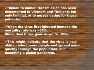 Human to human transmission has been documented in Vietnam and Thailand, but only familial, or to nurses caring for these patients. When the virus first infected humans the mortality rate was ~65%. Since then it has gone down to ~35%.  This might indicate that the virus is now able to infect more people and spread more quickly through the population, and becoming a global pandemic.  