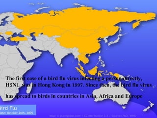 GEOGRAPHICAL  DISTRIBUTION Source :  FAO,WHO , UN The first case of a bird flu virus infecting a person directly, H5N1, was in Hong Kong in 1997. Since then, the bird flu virus has spread to birds in countries in Asia, Africa and Europe   