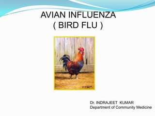 AVIAN INFLUENZA
( BIRD FLU )
Dr. INDRAJEET KUMAR
Department of Community Medicine
 