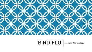 BIRD FLU Lecturer Microbiology
 