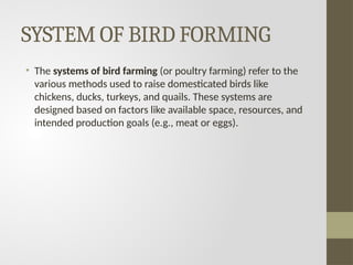 bird farms and BIRD FaRMING presentation.pptx