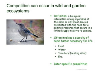 Competition can occur in wild and garden
ecosystems
 Definition: a biological
interaction among organisms of
the same or different species
associated with the need for a
common resource that occurs in a
limited supply relative to demand.
 Often involves a scarcity of
some factor necessary for life
 Food
 Water
 ‘territory’ (nesting sites)
 Etc.
 Inter-specific competition
© Project SOUND
 