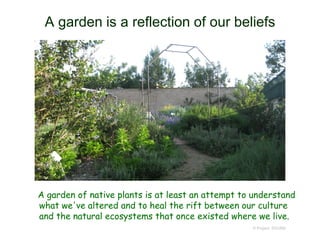 A garden is a reflection of our beliefs
A garden of native plants is at least an attempt to understand
what we've altered and to heal the rift between our culture
and the natural ecosystems that once existed where we live.
© Project SOUND
 
