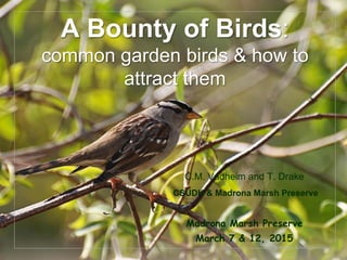 © Project SOUND
A Bounty of Birds:
common garden birds & how to
attract them
C.M. Vadheim and T. Drake
CSUDH & Madrona Marsh Preserve
Madrona Marsh Preserve
March 7 & 12, 2015
 