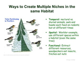 Ways to Create Multiple Niches in the
same Habitat
 Temporal: noctural vs.
diurnal animals, owls and
hawks each feed on rodents
but at different times
 Spatial: Warbler example,
use different spaces within
a habitat (even the same
tree)
 Functional: Extract
different resources,
woodpeckers eat insects,
finches eat nuts
© Project SOUND
http://nre509.wikidot.com/niche-and-resource-utilization
 