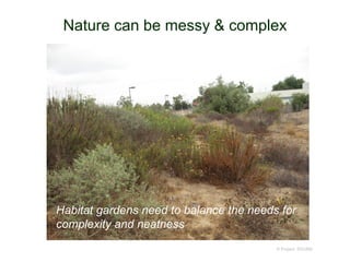 Nature can be messy & complex
© Project SOUND
Habitat gardens need to balance the needs for
complexity and neatness
 