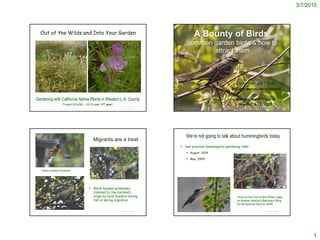 3/7/2015
1
© Project SOUND
Out of the Wilds and Into Your Garden
Gardening with California Native Plants in Western L.A. County
Project SOUND – 2015 (our 11th year)
© Project SOUND
A Bounty of Birds:
common garden birds & how to
attract them
C.M. Vadheim and T. Drake
CSUDH & Madrona Marsh Preserve
Madrona Marsh Preserve
March 7 & 12, 2015
Migrants are a treat
 Black-headed grosbeaks
(related to the Cardinal)
stops by local feeders during
fall or spring migration
© Project SOUND
Black-headed Grosbeak
We’re not going to talk about hummingbirds today
 See previous hummingbird gardening talks
 August, 2014
 May, 2009
© Project SOUND
Click on the ‘Out of the Wilds’ page
on Mother Nature’s Backyard Blog
for all lectures back to 2009
 