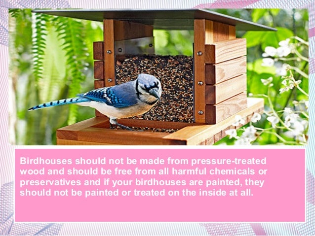 Birdhouse