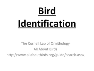 Bird Identification The Cornell Lab of Ornithology All About Birds http://www.allaboutbirds.org/guide/search.aspx 