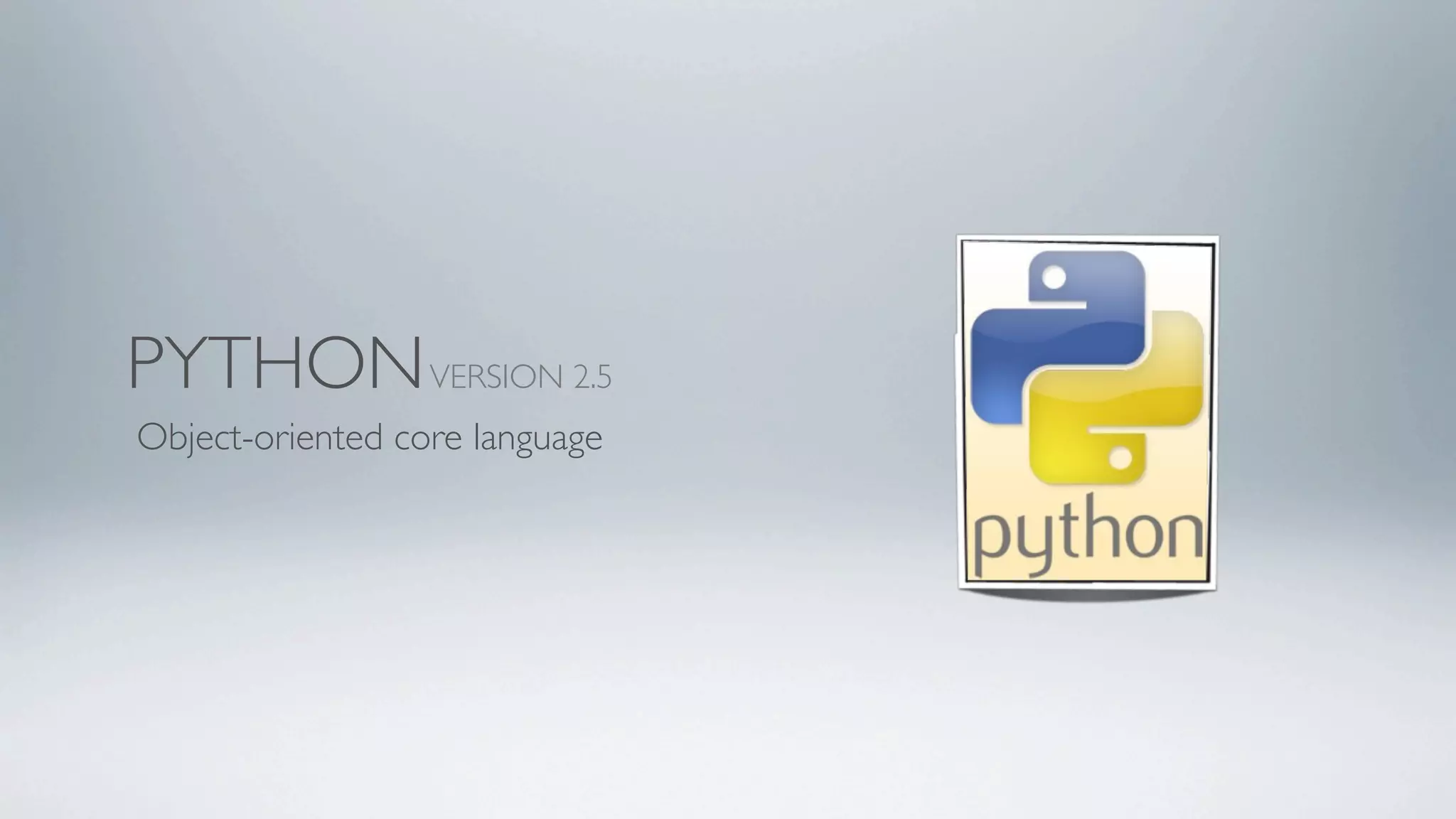 Birdie Design Presentation