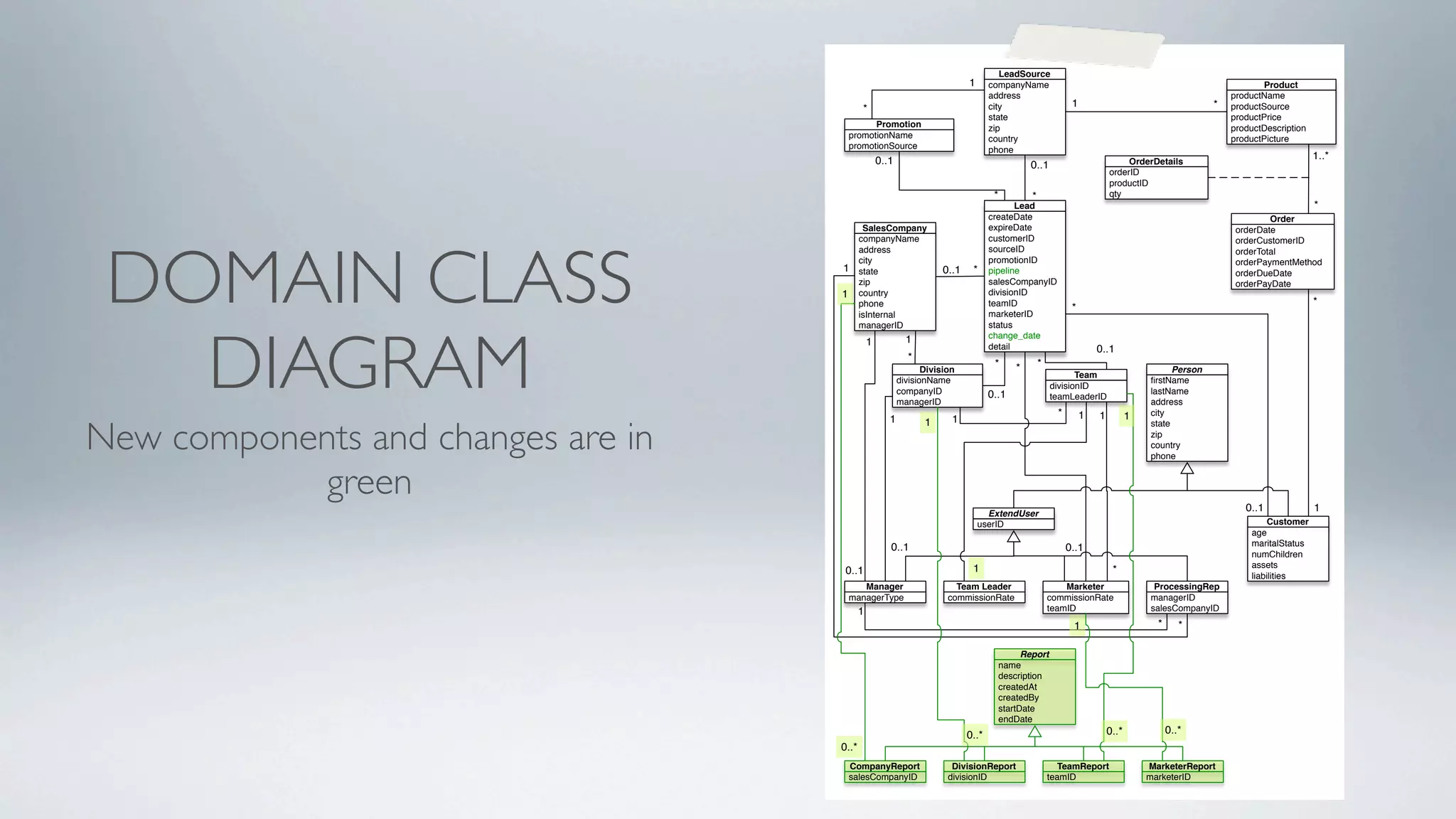 Birdie Design Presentation