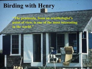 Birding with Henry
   “The peninsula, from an ornithologist’s
   point of view, is one of the most interesting
   in the world.”
 
