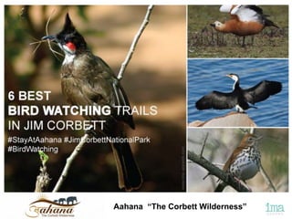 Aahana “The Corbett Wilderness”
 