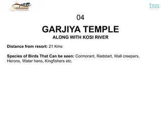GARJIYA TEMPLE
ALONG WITH KOSI RIVER
04
Distance from resort: 21 Kms
Species of Birds That Can be seen: Cormorant, Redstart, Wall creepers,
Herons, Water hens, Kingfishers etc.
 