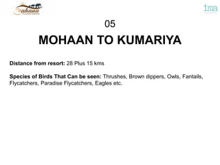 MOHAAN TO KUMARIYA
05
Distance from resort: 28 Plus 15 kms
Species of Birds That Can be seen: Thrushes, Brown dippers, Owls, Fantails,
Flycatchers, Paradise Flycatchers, Eagles etc.
 