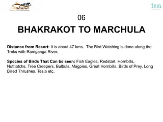 BHAKRAKOT TO MARCHULA
06
Distance from Resort: It is about 47 kms. The Bird Watching is done along the
Treks with Ramganga River.
Species of Birds That Can be seen: Fish Eagles, Redstart. Hornbills,
Nuthatchs, Tree Creepers, Bulbuls, Magpies, Great Hornbills, Birds of Prey, Long
Billed Thrushes, Tesia etc.
 