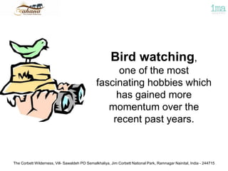 The Corbett Wilderness, Vill- Sawaldeh PO Semalkhaliya, Jim Corbett National Park, Ramnagar Nainital, India - 244715
Bird watching,
one of the most
fascinating hobbies which
has gained more
momentum over the
recent past years.
 
