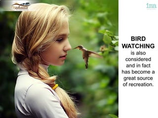 BIRD
WATCHING
is also
considered
and in fact
has become a
great source
of recreation.
 