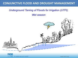 Conjunctive Management of Water Resources – Underground Taming of Floods for Irrigation (UTFI) 