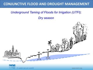 Conjunctive Management of Water Resources – Underground Taming of Floods for Irrigation (UTFI) 