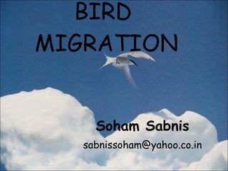 BIRD  MIGRATION Soham Sabnis [email_address] 