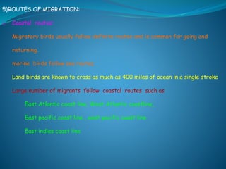 5)ROUTES OF MIGRATION:
i. Coastal routes:
Migratory birds usually follow definite routes and is common for going and
returning.
marine birds follow sea routes.
Land birds are known to cross as much as 400 miles of ocean in a single stroke
Large number of migrants follow coastal routes such as
East Atlantic coast line, West Atlantic coastline,
East pacific coast line , west pacific coast line
East indies coast line
 