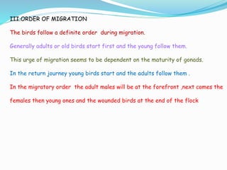 III.ORDER OF MIGRATION
The birds follow a definite order during migration.
Generally adults or old birds start first and the young follow them.
This urge of migration seems to be dependent on the maturity of gonads.
In the return journey young birds start and the adults follow them .
In the migratory order the adult males will be at the forefront ,next comes the
females then young ones and the wounded birds at the end of the flock
 