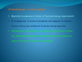 VI.Disadvantages of avian migration
 Migration is expensive in terms of food and energy requirements
 It is dangerous in terms of predation and exposure to climatic
factors. Every year millions of birds die during migration
 Cold weather , snow storms , hurricanes, strong current of wind,
fog, man made light houses , big buildings, television towers are
some of the factors create great problems
 