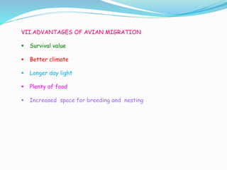 VII.ADVANTAGES OF AVIAN MIGRATION
 Survival value
 Better climate
 Longer day light
 Plenty of food
 Increased space for breeding and nesting
 