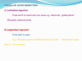 I.KINDS OF AVIAN MIGRATION
1) Latitudinal migration:
From north to south and vice versa e.g.: American golden plover
(Pluvialis), Siberian birds
2) Longitudinal migration:
From east to west
E.g.: Patagonian plover-Falkland island and south Patagonian in sept
and oct for breeding
 