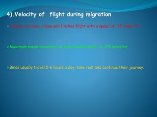 4).Velocity of flight during migration
Cranes, carrions, crows and finches flight with a speed of 30 miles /hr.
Maximum speed recorded of some Indian swift is 176 miles/hr
Birds usually travel 5-6 hours a day, take rest and continue their journey.
 