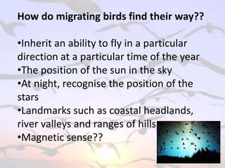 How do migrating birds find their way??
•Inherit an ability to fly in a particular
direction at a particular time of the year
•The position of the sun in the sky
•At night, recognise the position of the
stars
•Landmarks such as coastal headlands,
river valleys and ranges of hills
•Magnetic sense??
 