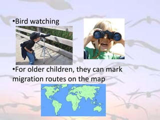 •Bird watching
•For older children, they can mark
migration routes on the map
 