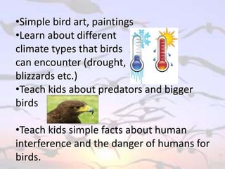 •Simple bird art, paintings
•Learn about different
climate types that birds
can encounter (drought,
blizzards etc.)
•Teach kids about predators and bigger
birds
•Teach kids simple facts about human
interference and the danger of humans for
birds.
 