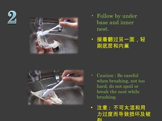 • Follow by under 
base and inner 
nest. 
• 接着翻过另一面，轻 
刷底层和内巢 
• Caution : Be careful 
when brushing, not too 
hard, do not spoil or 
break the nest while 
brushing. 
• 注意: 不可太湿和用 
力过度而导致损坏及破 
裂 
 