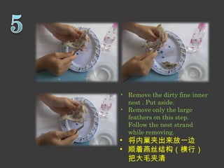 • Remove the dirty fine inner 
nest . Put aside. 
• Remove only the large 
feathers on this step. 
Follow the nest strand 
while removing. 
• 将内巢夹出来放一边 
• 顺着燕丝结构（横行） 
把大毛夹清 
 